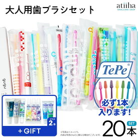 ZIP!で紹介 最安値挑戦中 歯ブラシセット お試しセット メール便送料無料 多彩なタイプの歯ブラシが試せるお得な大人用おまかせ歯ブラシ20本セット おまけ歯磨き粉2本付 福袋 ファミリー ふつう 詰め合わせ 家族でシェア ハミガキ