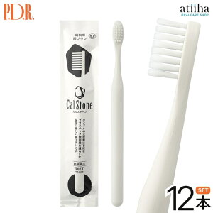 yzPDR uV JXg[ ɍזсy12{zSDGs