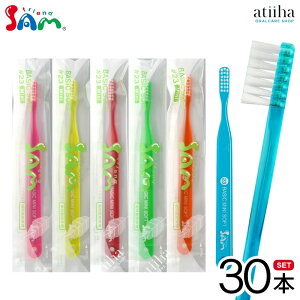 �y���������z�T���t�����h ���u���V #23 BASIC MINI SOFT �x�[�V�b�N�~�j�\�t�g�y30�{�z