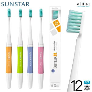 yzTX^[ uV G CARE Plus PAvX [3{сyM ӂzy12{z₳ ޏk moߕq̕ɂ