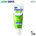 牙刷｜LION ライオン 歯磨き粉 Check-Up junior チェックアップジュニア 70g シャインマスカット【1本】