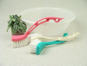 ~juV i`n} ܕsv SH G|NH ŉ𗎂Ƃ  S̔q