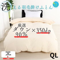 楽天市場】フランスベッド 羽毛布団 クイーンの通販