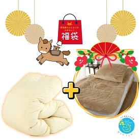 羽毛布団 寝具三点セット福袋 羽毛布団＋掛けカバー＋足ポケット付き敷パッド 福袋 匂わなダウン93％ 羽毛掛け布団 掛け布団 羽毛布団シングル 羽毛ふとん かけ布団 掛布団 軽い 暖かい バイオアップ加工 通年