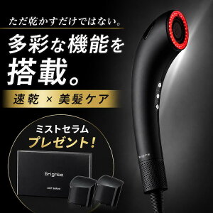 �u���C�g �V�����[�h���C���[ BRT-SD173 �~�X�g�Z�����t�� ( ���K�i Brighte �h���C���[ �~�X�g�h���C���[ �������P �啗�� �����h���C���[ �ŐV ���e�Ɠd �i�m�~�X�g ���� )