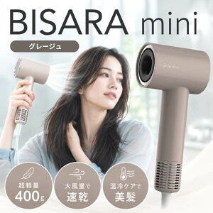 �y�������g����N�[�|�����s���z�r�T�� �~�j BISARA mini �O���[�W�� BSR005GB ( QUADS �N���b�Y �h���C���[ �啗�� �y�� �R���p�N�g ���� �}�C�i�X�C�I�� ���^ �w�A�h���C���[ ���K�i )