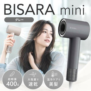 �y�������g����N�[�|�����s���z�r�T�� �~�j BISARA mini �O���[ BSR005GY ( QUADS �N���b�Y �h���C���[ �啗�� �y�� �R���p�N�g ���� �}�C�i�X�C�I�� ���^ �w�A�h���C���[ ���K�i )