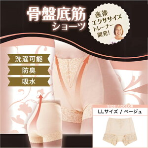 h[ WFk LL x[W(Ւ PA T|[g V[c K[h AR p  AR ARpc )