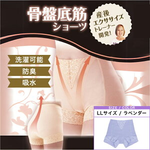 h[ WFk LL x_[(Ւ PA T|[g V[c K[h AR p  AR ARpc )