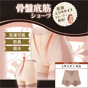 h[ WFk L J(Ւ PA T|[g V[c K[h AR p  AR ARpc )