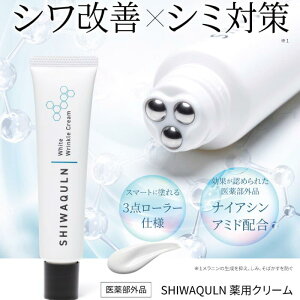 h[ VN(pN[ 򕔊Oi iCAVA~hz VP uCgjO }bT[W V~΍  CICA XLPA pWN[ ɗD )