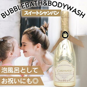 Vgm ouoX{fBEHbV GD XC[gVp 950ml(Catenoise q AC A 킠  C oX^C  蕨 v[g Mtg   Vp