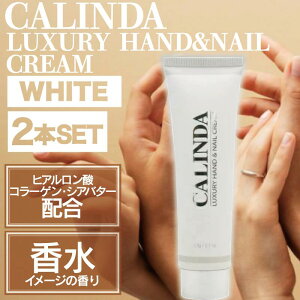 yC[OXՊJÒIzy2zJ_ nh&lCN[zCg(NG) 60g ( nhPA  r ێ ی qA_ R[Q VAo^[ v[g Mtg zCgf