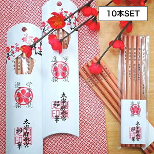 y10ztH[J[g ɕ{Q{M 5{Zbg(iF wƐA iwF  ɕ{V{ yY }[NeXg 蕨  A i HB   A iw 󌱕׋ Mtg v