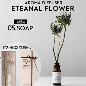 [g[WF G^[it[ A} fBt[U[y5^\[vz 25ml(ETERNAL FLOWER SOAP aroma diffuser  VR̍ 蕨 Mtg  ̓Mtg A}IC CeA I