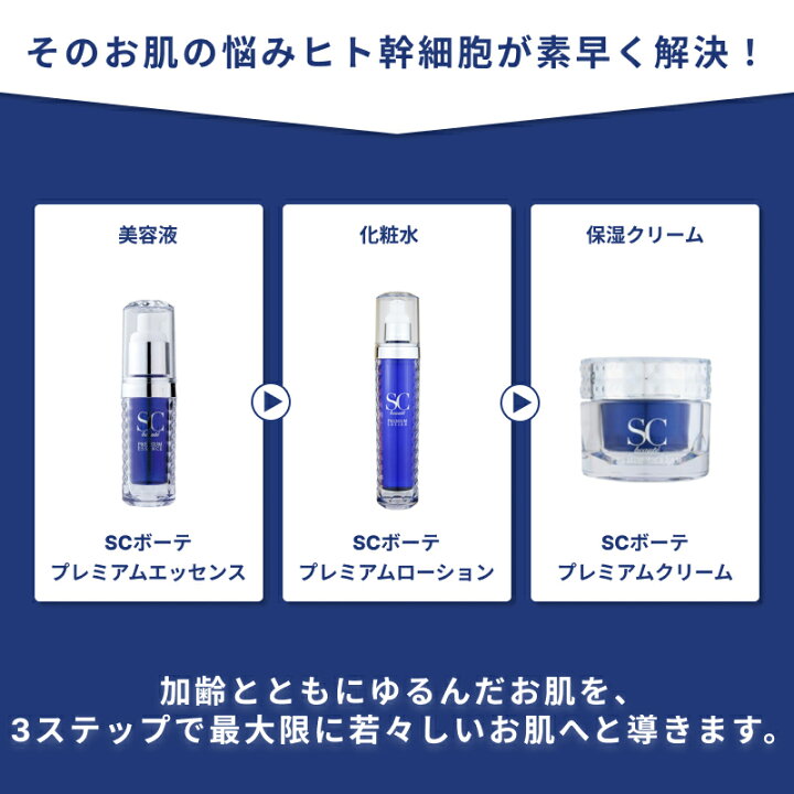 楽天市場】SCボーテ プレミアム クリーム 250g (ヒト幹細胞培養液  