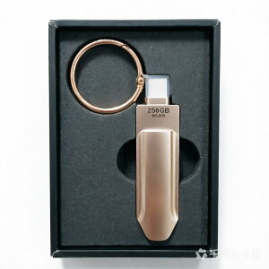 Apple MFi �F��iPhone USB������256GB�t���b�V���h���C�u iPhone �O�t�������� iOS�o�b�N�A�b�v iPad USB������ �A�C�t�H�� Lightning �������A�C�t�H�� �A�C�p�b�g �X�}�z �ʐ^�f�[�^�ۑ� �^�C�vC USB-C �A��