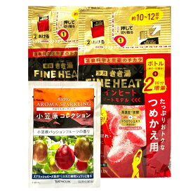 きき湯ファインヒート スマートモデル 詰め替え用 500g×2個+分包セット【医薬部外品】