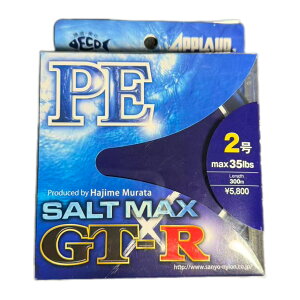 �T�����[�i�C���� ���C�� APPLAUD SALTMAX GT-R PE 300m