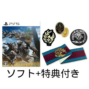 �yPS5�z�����X�^�[�n���^�[���C���Y PlayStation5 �\�t�g ���ʌ�����T �O�b�Y�t�� �}�t���[�^�I�� �h�J�ʃo�b�W ����