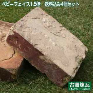 AeB[NKuxr[tFCX1.5{ 4Zbgv1̑傫23×17×6.5cmikC300~Abvj