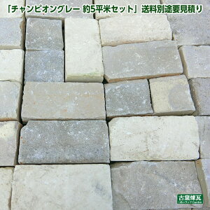 AeB[NK `sIO[ 5ăZbg iʓrvςjpbg