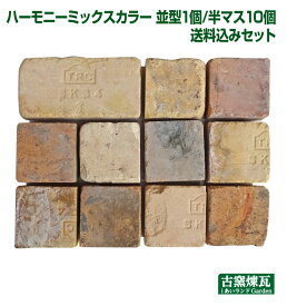 アンティークレンガ 「ハーモニーミックスカラー 並型1個・半マス10個 送料込みセット」 （北海道は300円アップ） 花壇 ガーデニング DIY