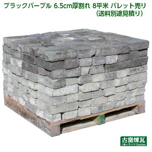 AeB[NK uubNp[v 6.5cm 8 pbgviʓrςj