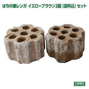 AeB[NK u͂̑K CG[uE2 ()ZbgvkC300~Abv