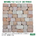 ＼楽天ランキング入賞／ 国産 刻印入り　アンティークレンガ 「割れ煉瓦 ベビーピンク（約1平米分）」（ゆうパック5個…