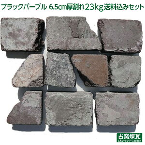 _yVLO܁^ AeB[NK uubNp[v 6.5cm 23kg ݃ZbgvikC300~Abvj