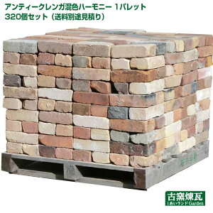 AeB[NK un[j[~bNX 1pbg320Zbgviʓrςj