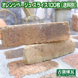 uIWx[WXCX 100viYiEʓrEvςjǖʗpAeB[NK