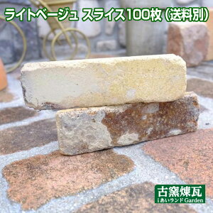 uCgx[WXCX 100viYiEʓrEvςjǖʗpAeB[NK