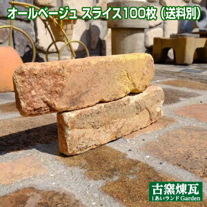 uI[x[WXCX 100viYiEʓrEvςjǖʗpAeB[NK