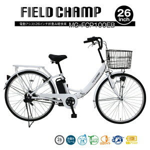 ~S dAVXg܏݌y] 26C` p[zCg FlELD CHAMP MG-FCP100EB