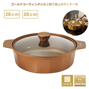 y11/4`}\SiP2{z 28cm VISIONS rW IHΉ S[hR[eBO KXWt  @yʌv[gtz