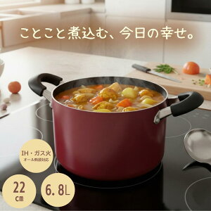  22cm 6.8L KXWt  KX IHΉ tbfH pX^p e J[ V`[|bg V`[@|gtύݓ