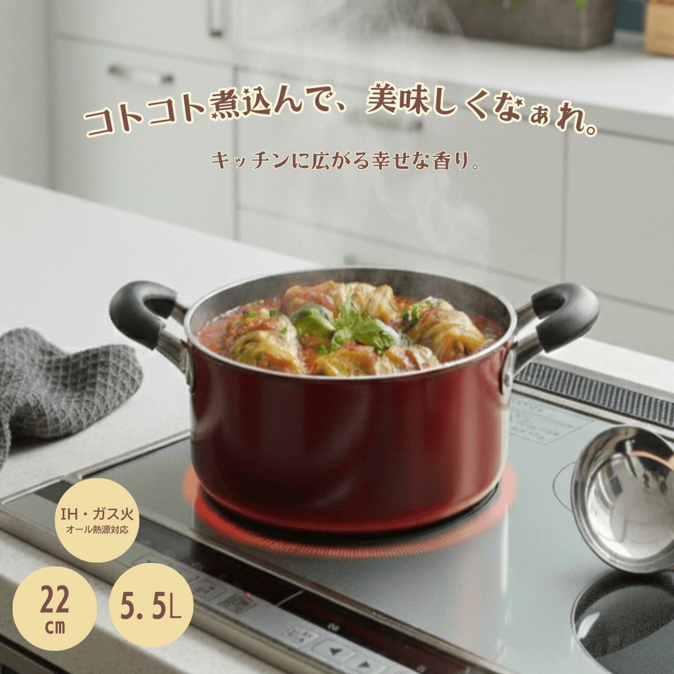 半寸胴鍋 22cm 5.5L ガラス鍋蓋付