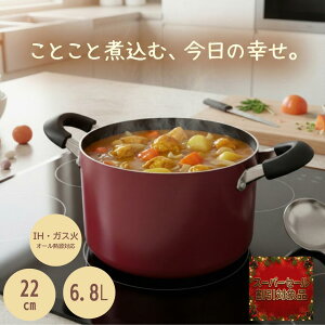 yyVX[p[SALE 10 z 22cm 6.8L KXWt  KX IHΉ tbfH pX^p e J[ V`[|bg V`[@|gtύݓ