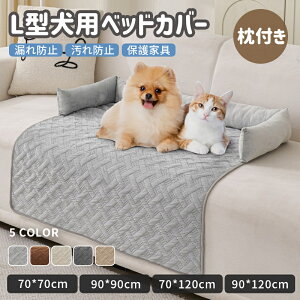 􂦂ybgV[c  L ybgp }bg t~ ybg}bg ~ h  q/VjẢV[c  JԂgp\ ɗD ˂V[c