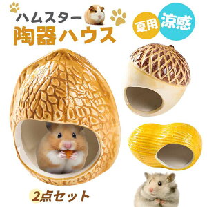 2_Zbg nX^[ nEX   Ђ [΍ ǂ񂮂 ̑ P[W nX^[̉ bg nlY~ xݏ xbh  Qꏊ Q B  ėp 