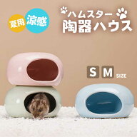 ＼S～MSIZE選べる／ ハムスター ハウス 陶器 おへや 隠れ家 涼感 夏用 ひんやり 冷房対策 暑さ対策 お休…