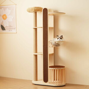 Lbg^[ L^[ Lbgc[ X 173.5cm u lR^[ 艺肵₷ ܂Ƃ|[ ؐ  qL ^L ybgpi 