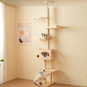Lbg^[ L^[ Lbgc[ X ˂ 260cm ؓo^[ lR^[ FDt 艺肵₷ ܂Ƃ|[ ؐ  qL ^L }bgt ybgpi 