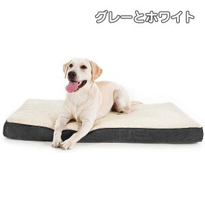 ybgxbh LybgNbV M ` ybg\t@[  xbh Lxbh t  ^ ^  q OJo[ ~ h 􂦂 pxbh 