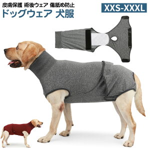 hbOEFA   Ci[ ^CgX[c  畆ی pEFA rߖh~ Dp /^p IXXp ̕ Lk pW}   Ȃ /^p ё΍ 