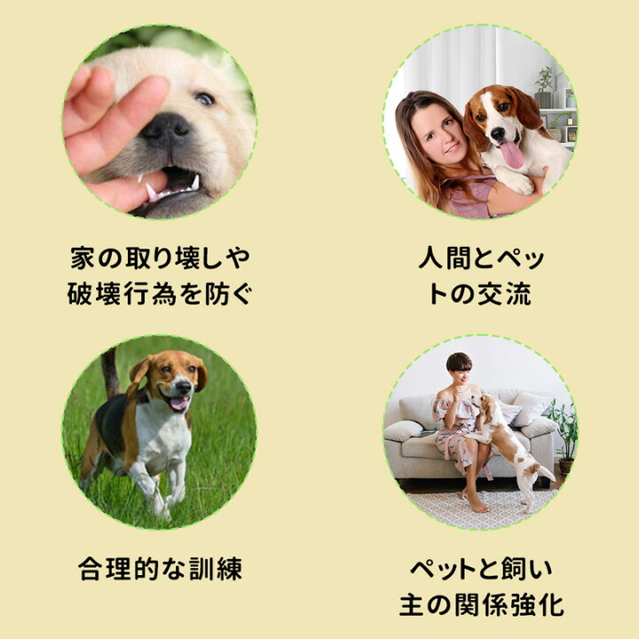楽天市場】犬 ボタン 会話 ペット 3個 5個 8個 犬の記録ボ 猫 