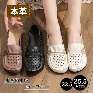 [t@[ fB[X V[Y{v [t@[ ʋC l  y 炩 ₷ ɂȂC\[ ؂ tbg V[Y  zCg