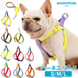 犬 ハーネス リード カラフル ハーネスリード セット 胴輪 犬用 ドッグ 小型犬 中型犬 大型犬 さんぽ 散歩 ネコポス